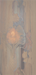 Visions Study 1